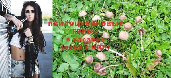 альфа пвп Беломорск