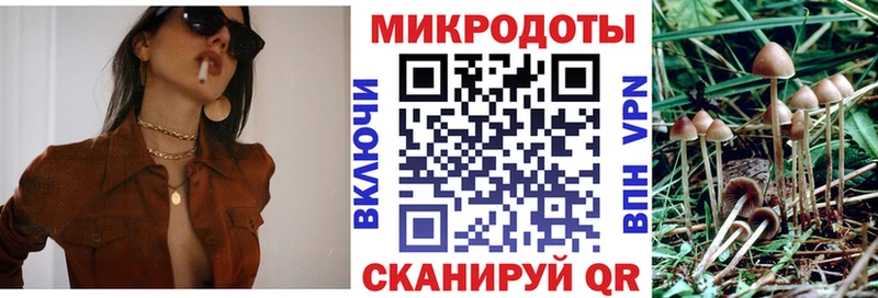 Псилоцибиновые грибы ЛСД  Шахунья 